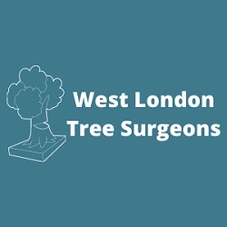 Logo of West London Tree Surgeons Tree Surgeon In Hayes, London