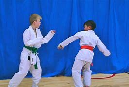 Logo of Simon Coope Karate School Martial Arts Instruction In Coalville