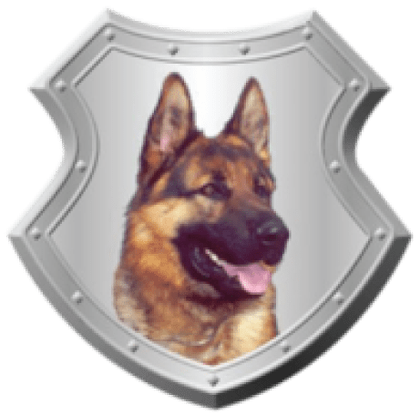 Logo of Total Guard Security