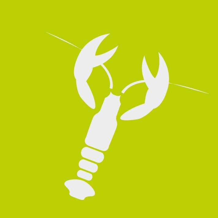 Logo of Hotlobster Design Ltd