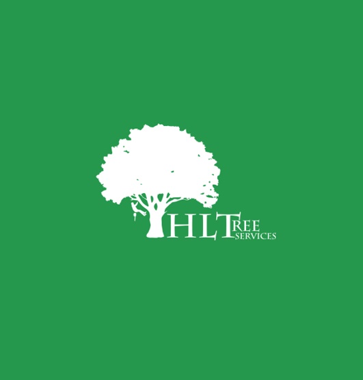 Logo of HLTree Services Tree Surgeon In Anstruther, Fife Logo of HLTree Services Tree Surgeon In Anstruther, Fife