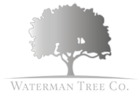 Logo of Waterman Tree Co