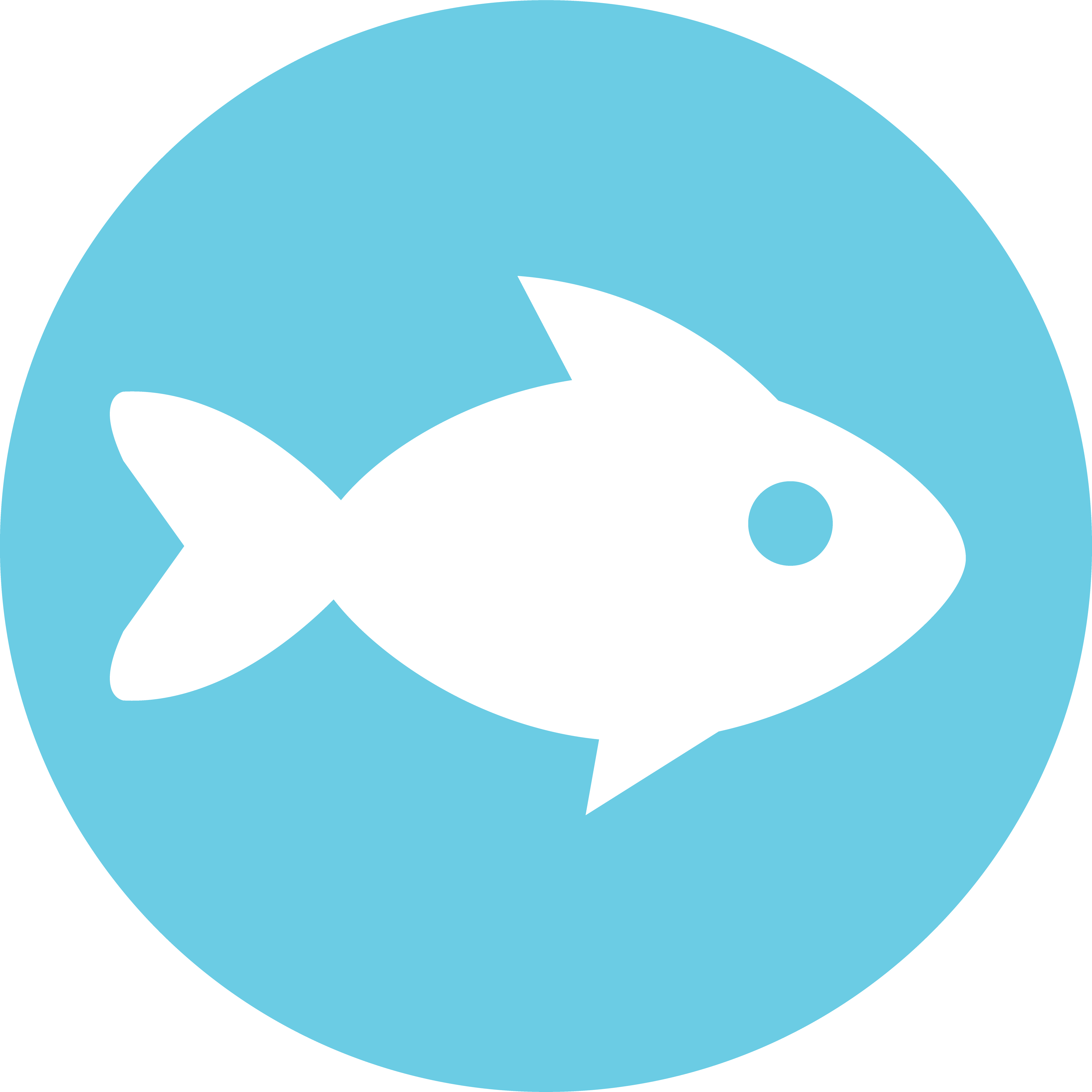 Logo of Curious Fish Websites