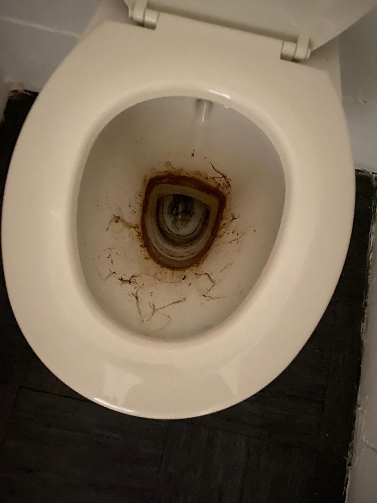 Logo of Everyday Drains