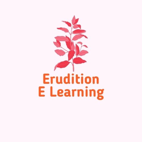 Logo of Erudition e Learning