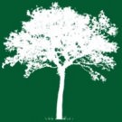 Logo of Rufford Tree Services
