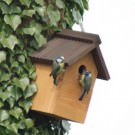 Logo of Reallywildbirdfood.co.uk Bird Breeders In Hampshire Logo of Reallywildbirdfood.co.uk Bird Breeders In Hampshire