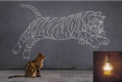 Logo of Tiger Moth Tutors Tutor In Richmond Upon Thames, Surrey