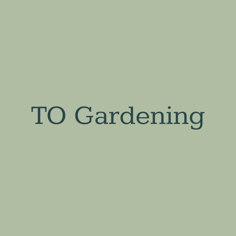 Logo of TO Gardening Gardening Services In Hayes, Middlesex Logo of TO Gardening Gardening Services In Hayes, Middlesex