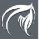 Logo of Hair Extensions by KIRILL