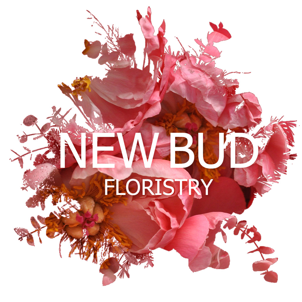 Logo of New Bud Floristry Florists Retail In Glasgow, Renfrewshire Logo of New Bud Floristry Florists Retail In Glasgow, Renfrewshire