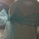 Logo of MyChairCovers