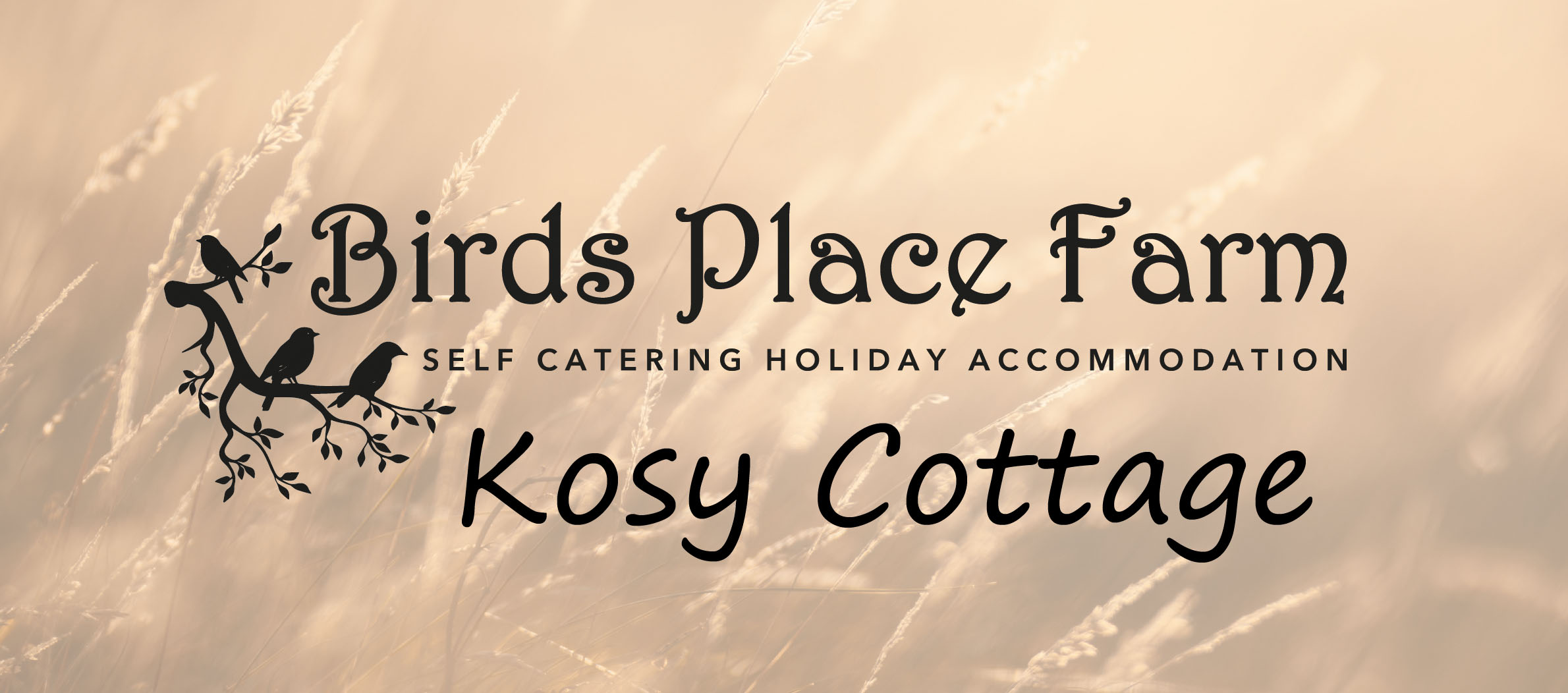 Logo of The Old Stable Yard Birds Place Farm