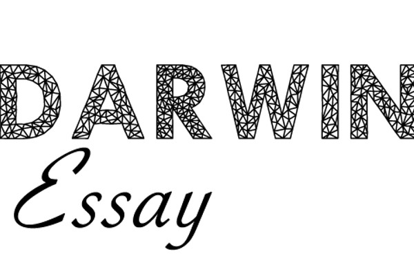 Logo of darwinessay.net Education In Crowthorne, Usk