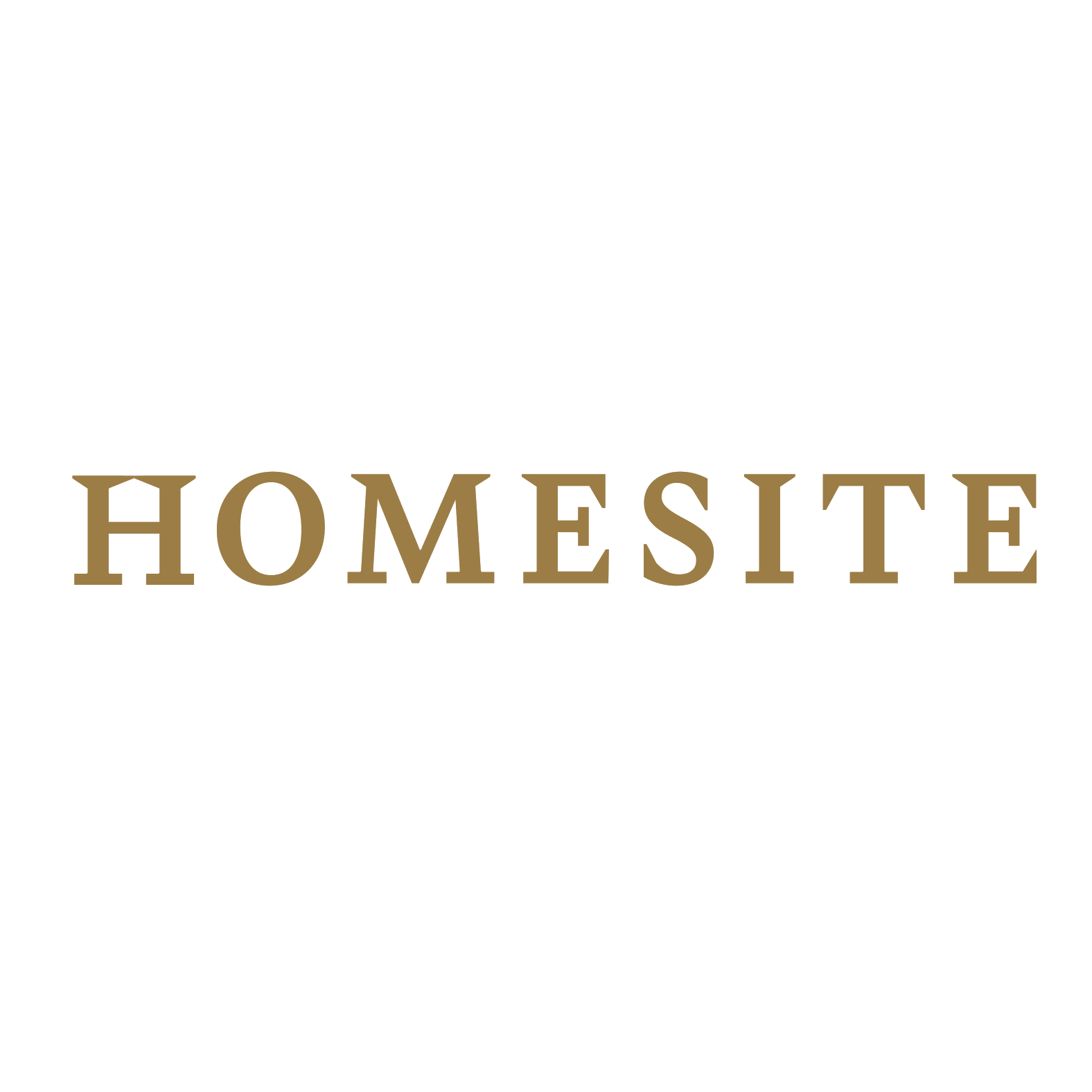 Logo of Homesite