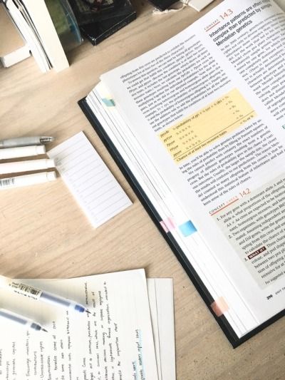 Logo of Essay Pay Education In Insch, Aberaeron Logo of Essay Pay Education In Insch, Aberaeron