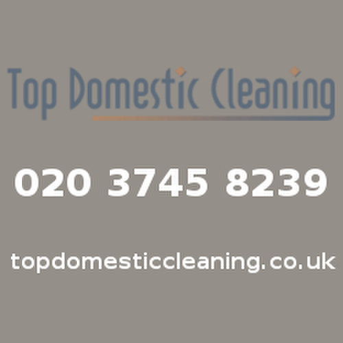 Logo of Top Domestic Cleaning London