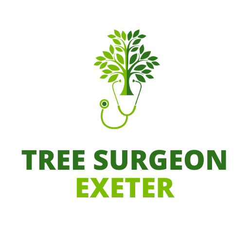 Logo of Tree Surgeon Exeter