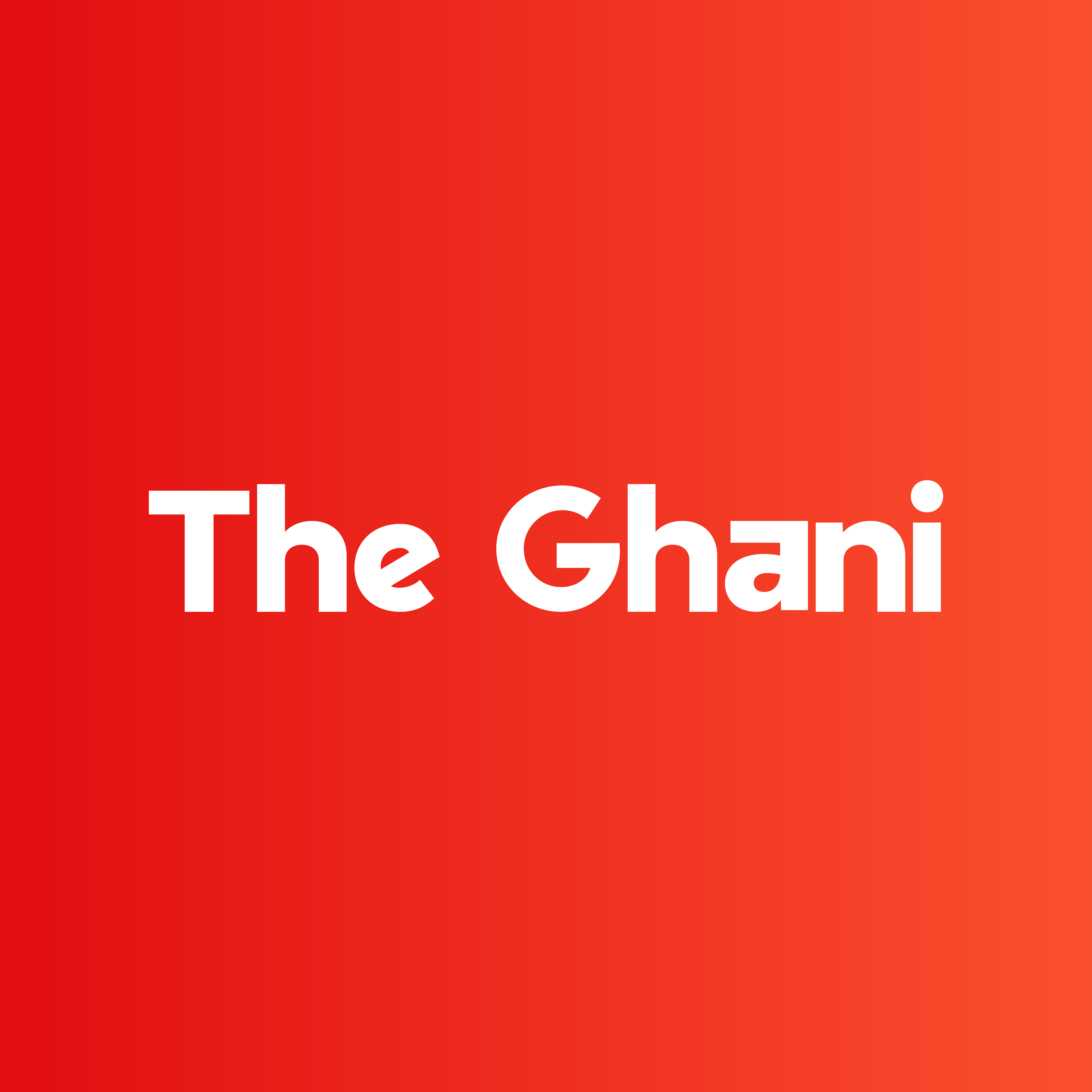 Logo of The Ghani Solutions Ltd