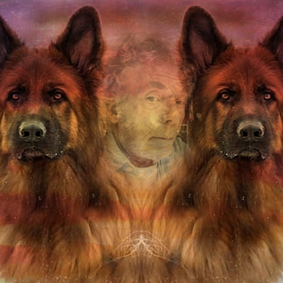 Logo of Ray Ward Dog Behaviourist