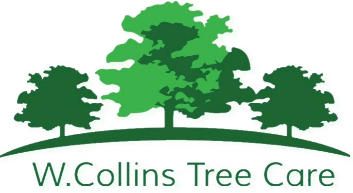Logo of Worcester Tree Surgery