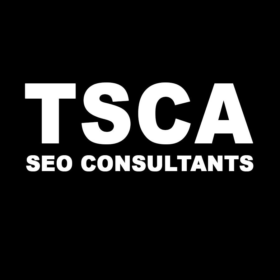 Logo of The SEO Consultant Agency Derry