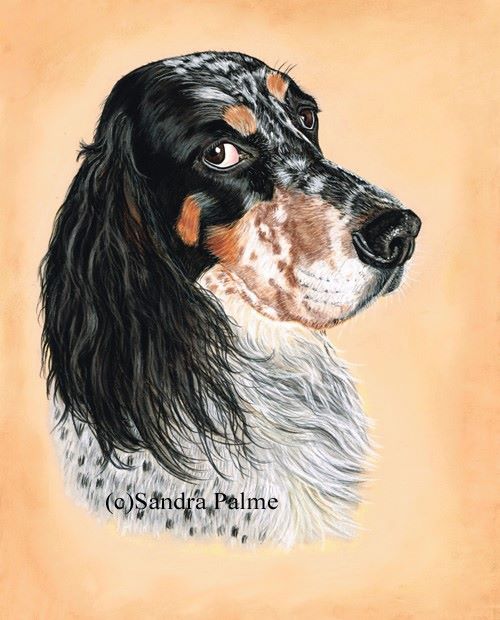 Logo of Fine Pet Portraits