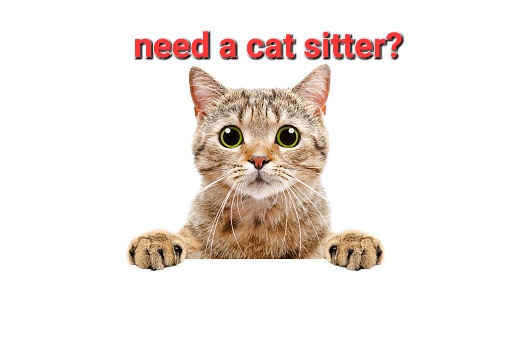 Logo of Catsitting With Love Cat Breeders In Merton, Surrey Logo of Catsitting With Love Cat Breeders In Merton, Surrey