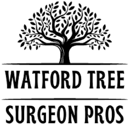 Logo of Watford Tree Surgeon Pros