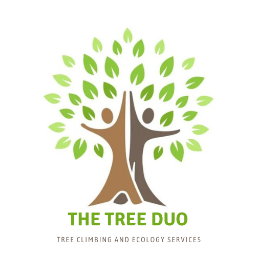 Logo of The Tree Duo Environmental Consultants In Porthtowan, Cornwall