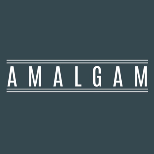 Logo of Amalgam Exterior Cleaning