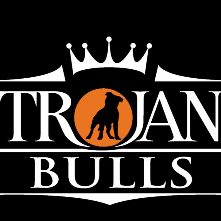 Logo of Trojanstaff UK Dog Breeders In Basingstoke, Hampshire Logo of Trojanstaff UK Dog Breeders In Basingstoke, Hampshire