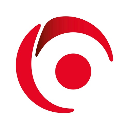 Logo of ICT Solutions Limited