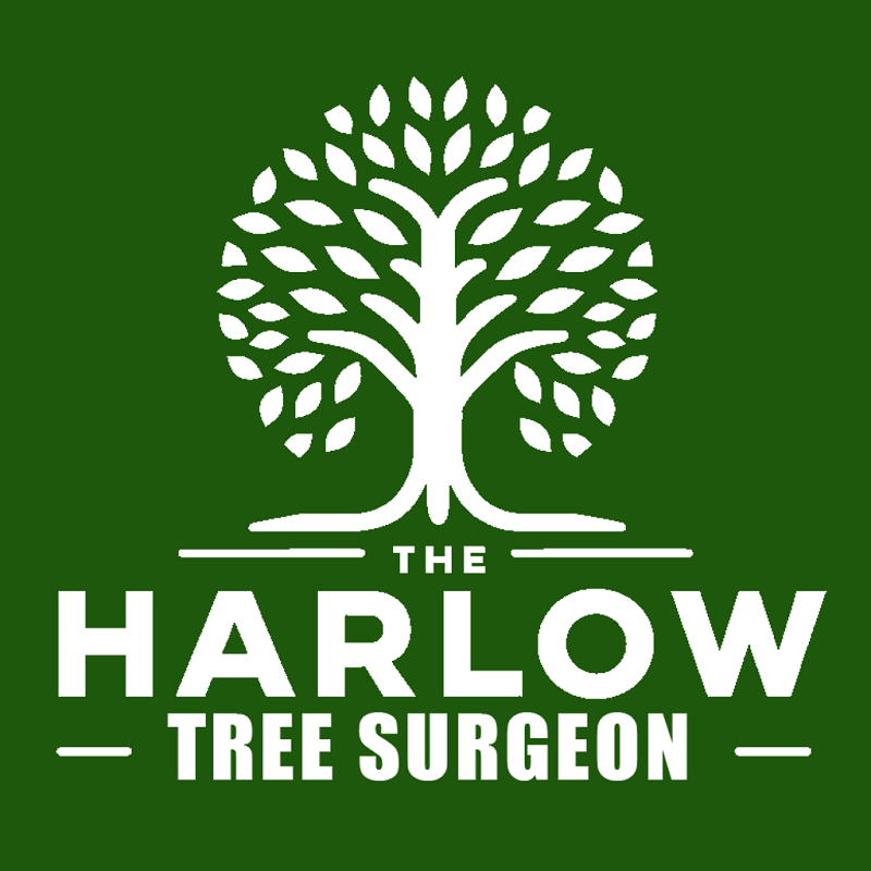 Logo of The Harlow Tree Surgeon