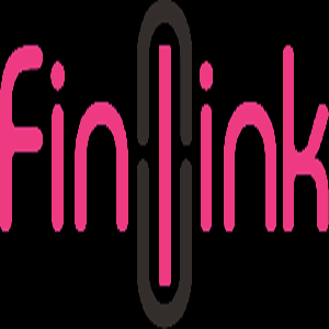 Logo of Fin Link Solutions LTD