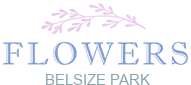 Logo of Flowers Belsize Park