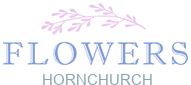Logo of Flowers Hornchurch