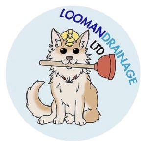 Logo of Looman Drainage Plumbing And HVAC Equipment In Aylesbury, Buckinghamshire
