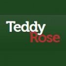 Logo of Teddy Rose Landscaping