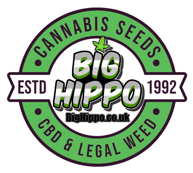 Logo of Big Hippo