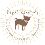Logo of Beyond Reactivity