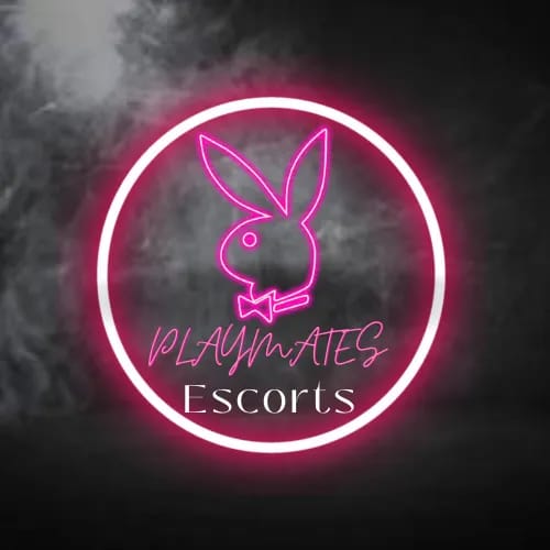 Logo of Playmates Escorts Agency In Manchester