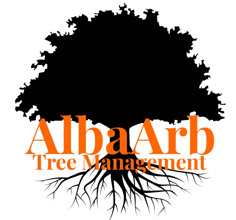Logo of AlbaArb Tree Management