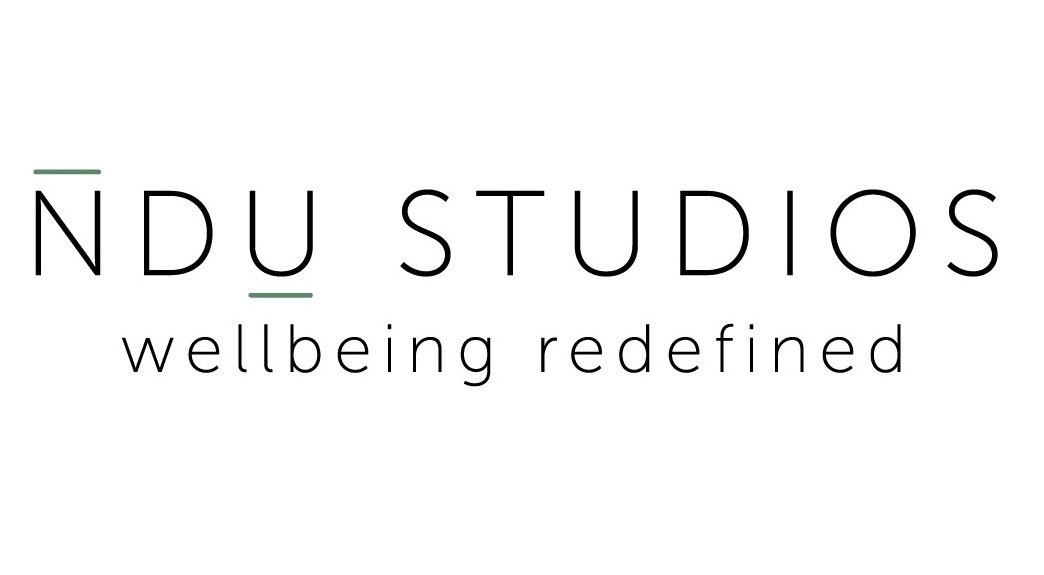 Logo of NDU Studios