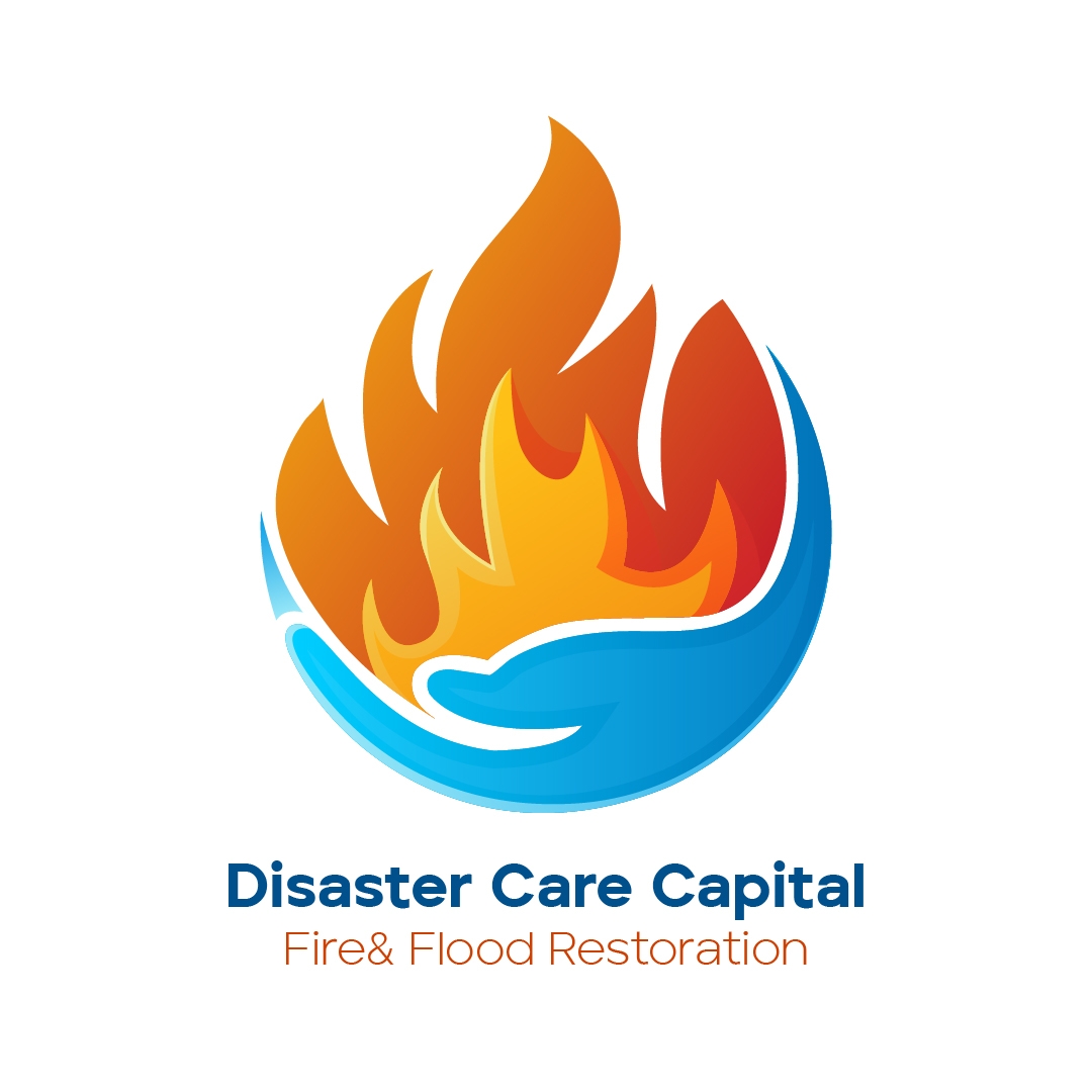 Logo of Disaster Care Capital