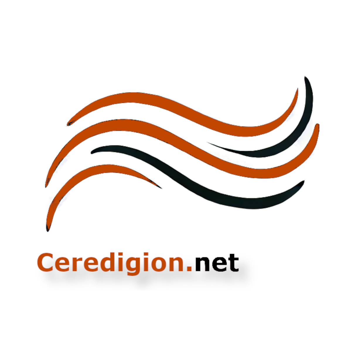 Logo of Ceredigion Network Computer Training In Ystrad Meurig, Ceredigion