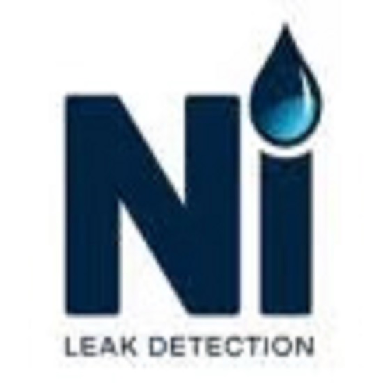 Logo of NI Leak Detection
