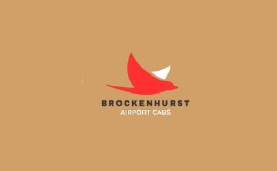 Logo of Brockenhurst Airport Cabs Taxidermists In Brockenhurst, Hampshire