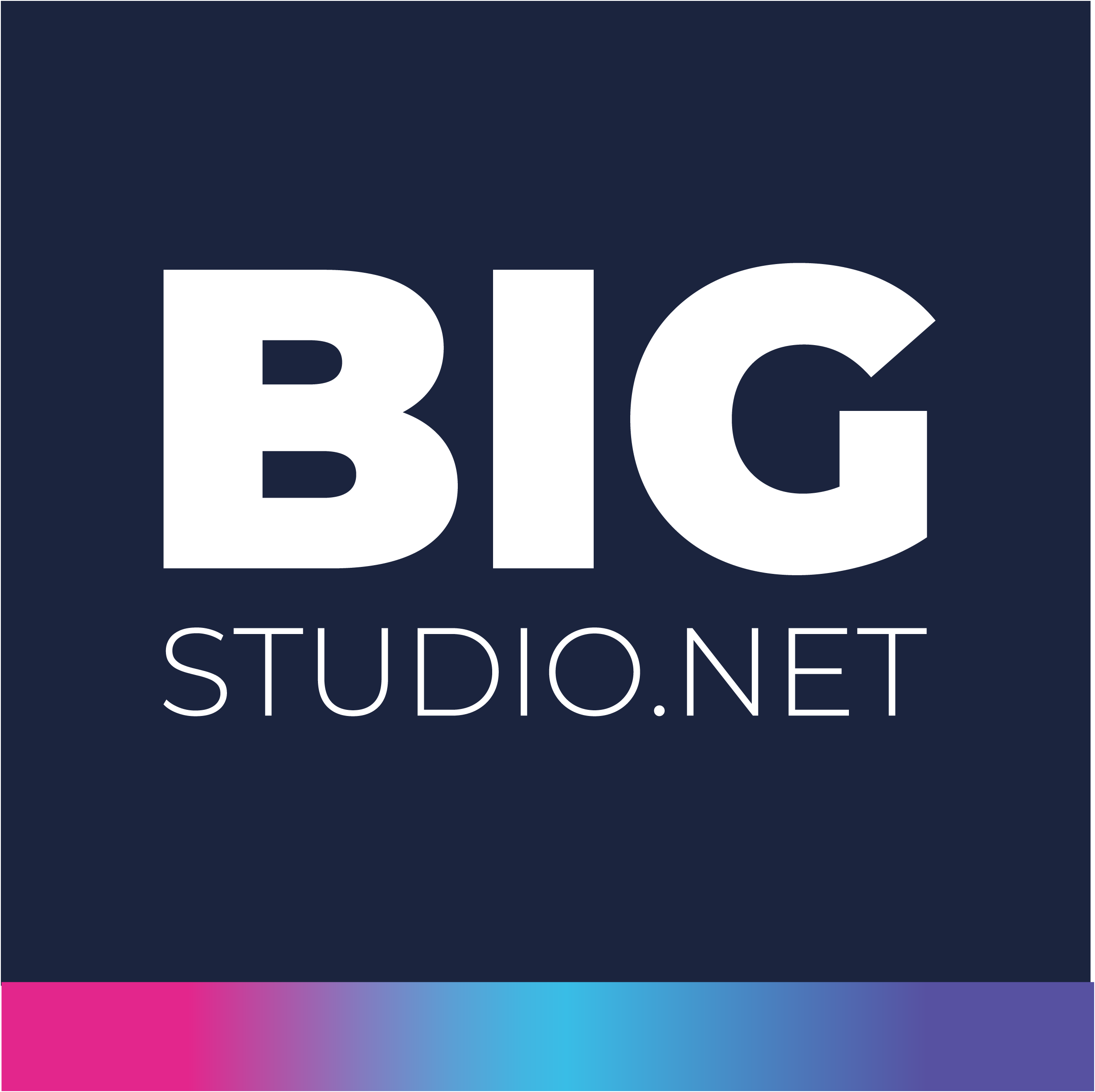 Logo of BIG Studio