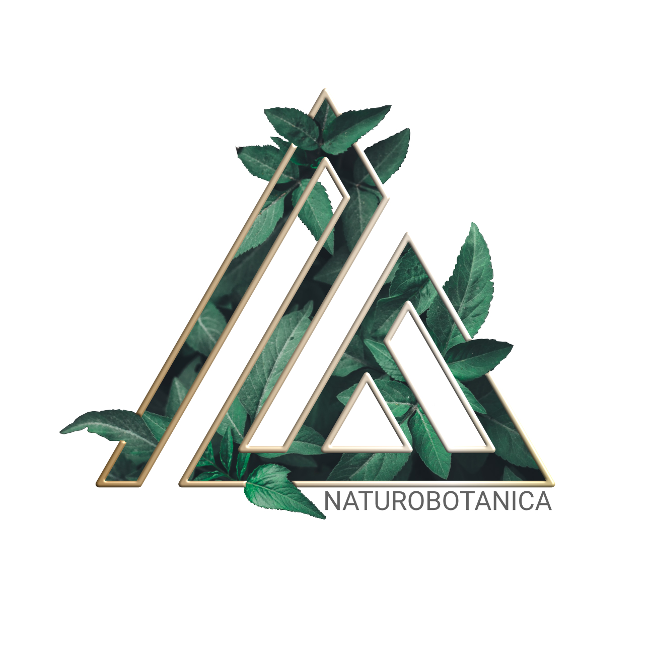 Logo of Naturobotanica
